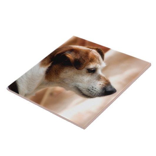 JACK RUSSELL TERRIER DOG TEGELTJE (Zijkant)
