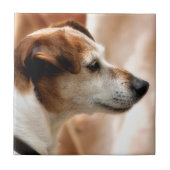 JACK RUSSELL TERRIER DOG TEGELTJE (Voorkant)