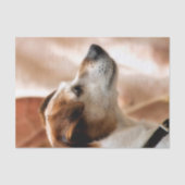 JACK RUSSELL TERRIER DOG TISSUEPAPIER (Voorkant)