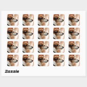 JACK RUSSELL TERRIER DOG VIERKANTE STICKER (Vel)