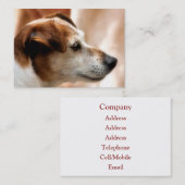 JACK RUSSELL TERRIER DOG VISITEKAARTJE (Voorkant / Achterkant)