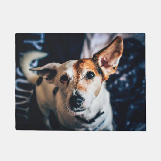 Jack Russell Terrier Doormat Deurmat (Voorkant)