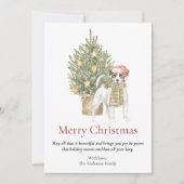 Jack Russell Terrier en kerstboom Pet Dog Feestdagenkaart (Voorkant)