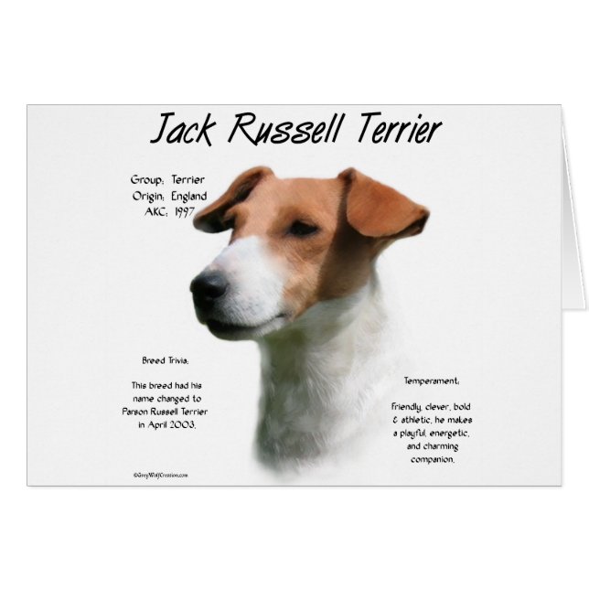 Jack Russell Terrier Geschiedenis (Voorkant Horizontaal)