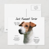 Jack Russell Terrier Geschiedenis Briefkaart (Voorkant / Achterkant)