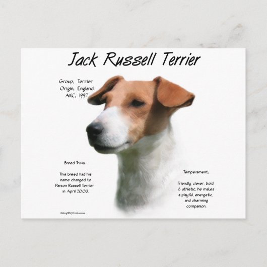 Jack Russell Terrier Geschiedenis Briefkaart (Voorkant)