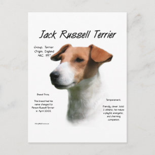 Jack Russell Terrier Geschiedenis Briefkaart
