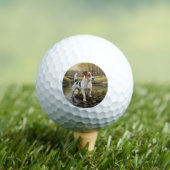Jack Russell Terrier Golfballen (Insitu Shirt)