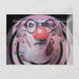 Jack Russell Terrier Happy Birthday Crazy Clown Briefkaart