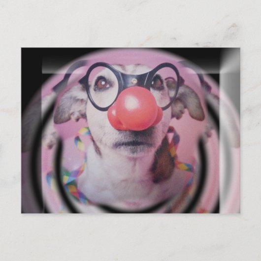Jack Russell Terrier Happy Birthday Crazy Clown Briefkaart (Voorkant)
