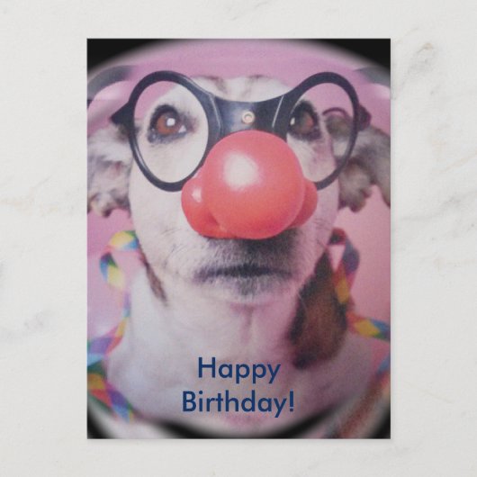 Jack Russell Terrier Happy Birthday Crazy Clown Briefkaart (Voorkant)