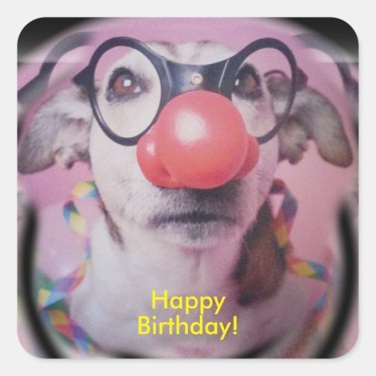 Jack Russell Terrier Happy Birthday Crazy Clown Vierkante Sticker (Voorkant)