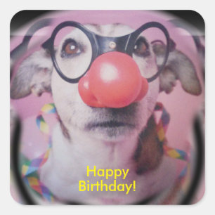 Jack Russell Terrier Happy Birthday Crazy Clown Vierkante Sticker