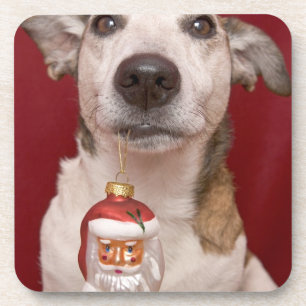 Jack Russell Terrier Holding kerstversiering Drankjes Onderzetter