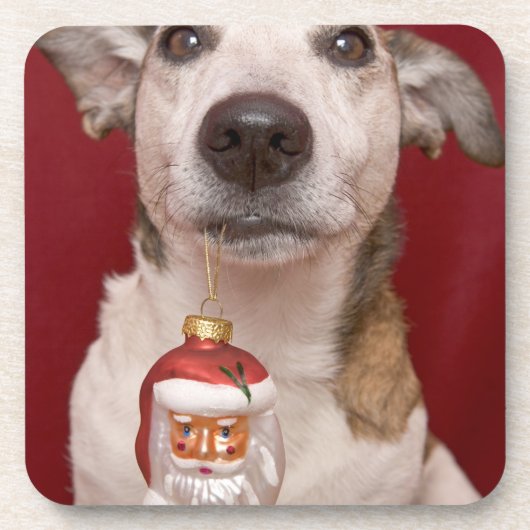 Jack Russell Terrier Holding kerstversiering Drankjes Onderzetter (Voorkant)