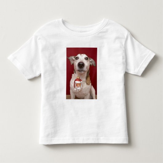Jack Russell Terrier Holding kerstversiering Kinder Shirts (Voorkant)
