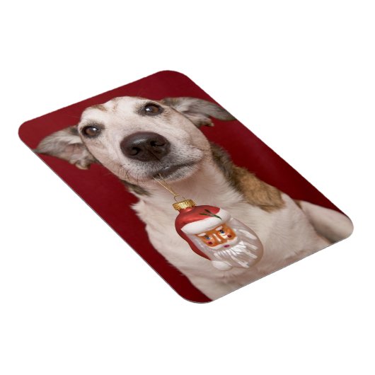 Jack Russell Terrier Holding kerstversiering Magneet (Rechterzijde)
