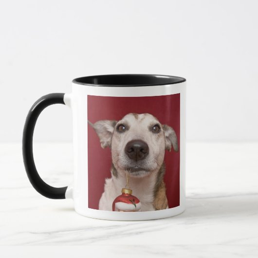 Jack Russell Terrier Holding kerstversiering Mok (Links)