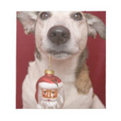 Jack Russell Terrier Holding kerstversiering Notitieblok (Voorkant)