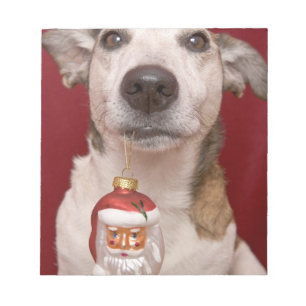 Jack Russell Terrier Holding kerstversiering Notitieblok