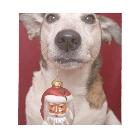 Jack Russell Terrier Holding kerstversiering Notitieblok (Voorkant)