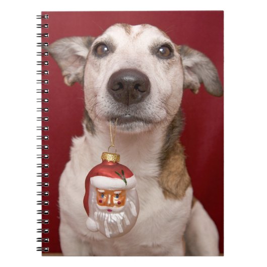 Jack Russell Terrier Holding kerstversiering Notitieboek (Voorkant)