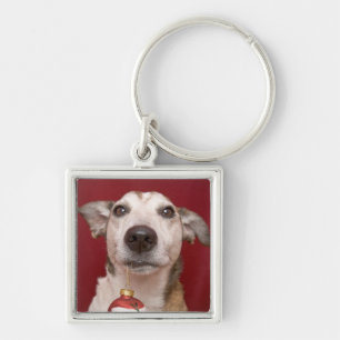 Jack Russell Terrier Holding kerstversiering Sleutelhanger