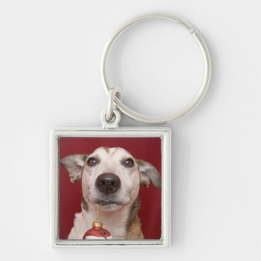 Jack Russell Terrier Holding kerstversiering Sleutelhanger (Voorkant)