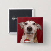 Jack Russell Terrier Holding kerstversiering Vierkante Button 5,1 Cm (Voorkant /achterkant)