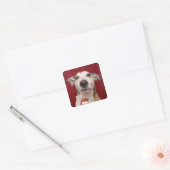 Jack Russell Terrier Holding kerstversiering Vierkante Sticker (Envelop)