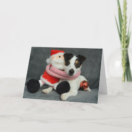 Jack Russell Terrier-hond Feestdagen Kaart