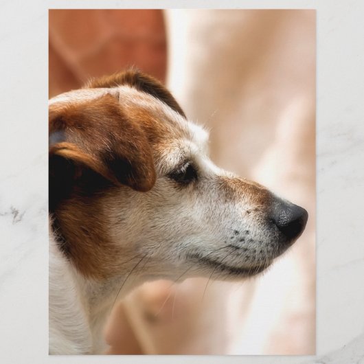 JACK RUSSELL TERRIËR HOND FLYER (Voorkant)