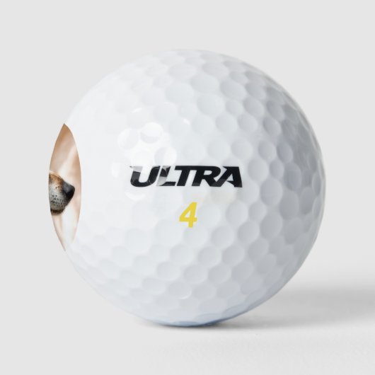 JACK RUSSELL TERRIËR HOND GOLFBALLEN (Logo)