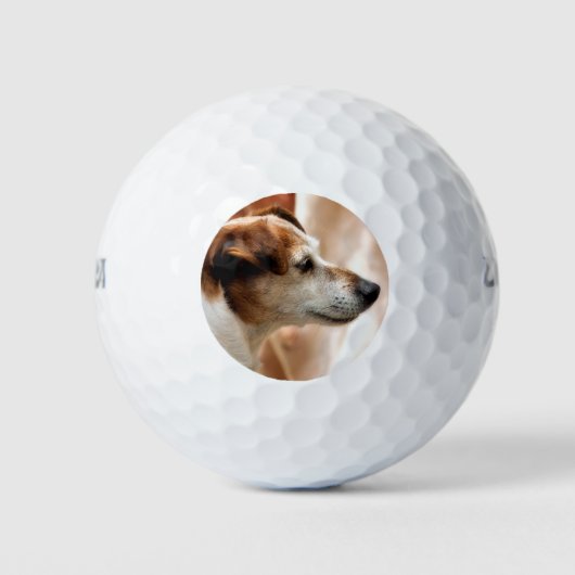 JACK RUSSELL TERRIËR HOND GOLFBALLEN (Voorkant)
