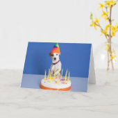 Jack Russell Terrier hond met feesthoed Kaart (Gele Bloem)