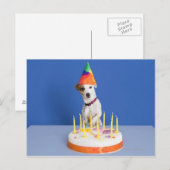 Jack Russell Terrier-hond met pet Briefkaart (Voorkant / Achterkant)