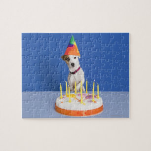 Jack Russell Terrier-hond met pet Legpuzzel