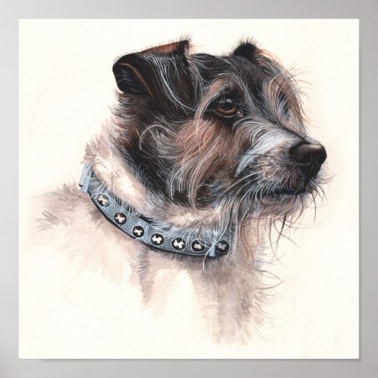 Jack Russell Terrier in Waterverf gefineerd Poster (Voorkant)