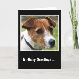 Jack Russell Terrier Kaart