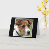 Jack Russell Terrier Kaart (Gele Bloem)