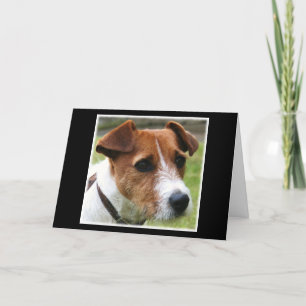 Jack Russell Terrier Kaart