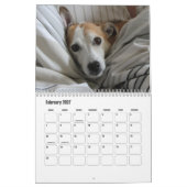 Jack Russell Terrier Kalender (Feb 2027)
