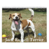 Jack Russell Terrier Kalender (Hoes)