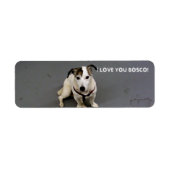 Jack Russell Terrier Label (Voorkant)