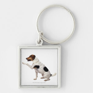 Jack Russell Terrier Lifting Paw Sleutelhanger