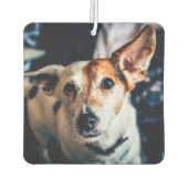 Jack Russell Terrier Luchtverfrisser (Achterkant)