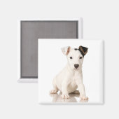 Jack Russell Terrier Magnet (Voorkant / Achterkant)