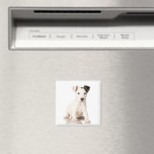 Jack Russell Terrier Magnet (Insitu (Vaatwasser))