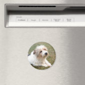 Jack Russell Terrier Magnet (Insitu (Vaatwasser))