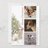 Jack Russell Terrier met kerstboom Pet Dog Foto Feestdagenkaart (Voorkant)